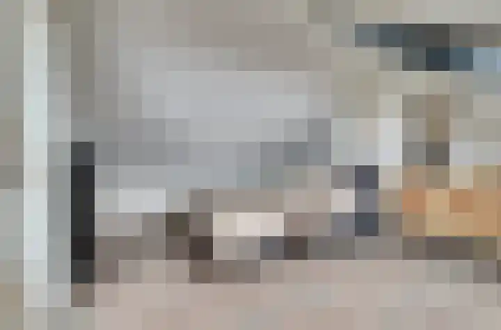 van Bronkhorststraat 7 Bemmel thumbnail 54