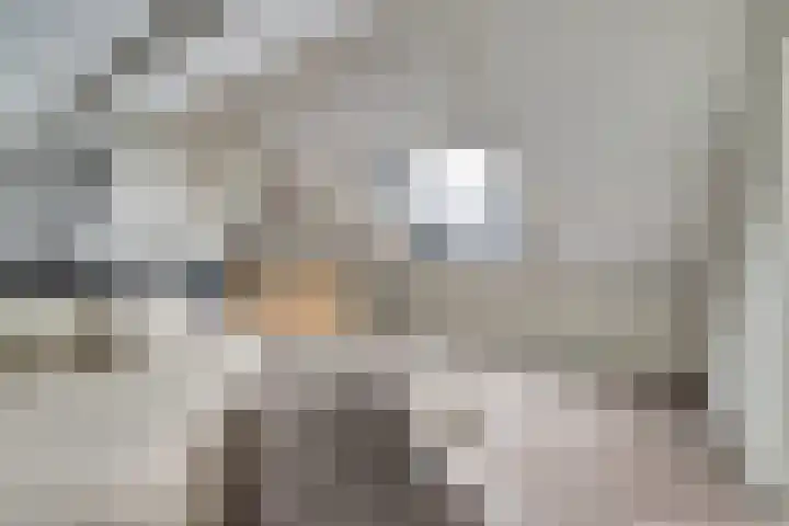 van Bronkhorststraat 7 Bemmel thumbnail 56