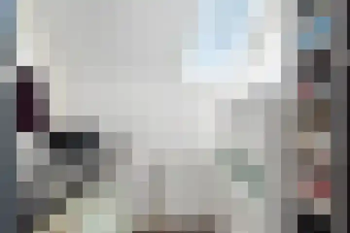 Van Bronkhorstvliet 14 Barendrecht thumbnail 19