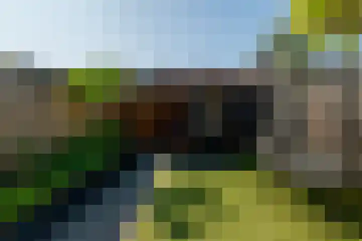 Van Bronkhorstvliet 14 Barendrecht thumbnail 28