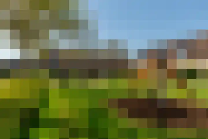 Van Bronkhorstvliet 14 Barendrecht thumbnail 32