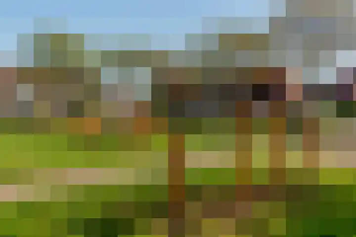 Van Bronkhorstvliet 14 Barendrecht thumbnail 33