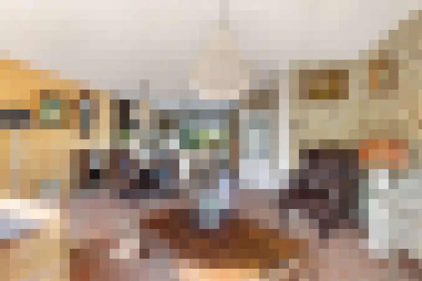 Van Bronkhorstvliet 31 Barendrecht thumbnail 10