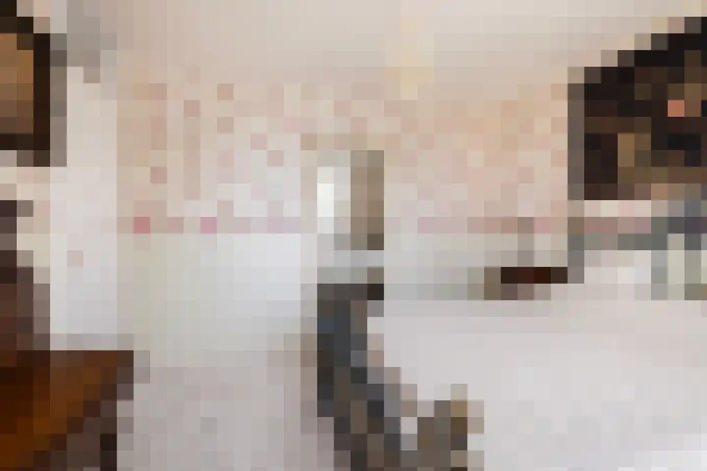 Van Bronkhorstvliet 31 Barendrecht thumbnail 17