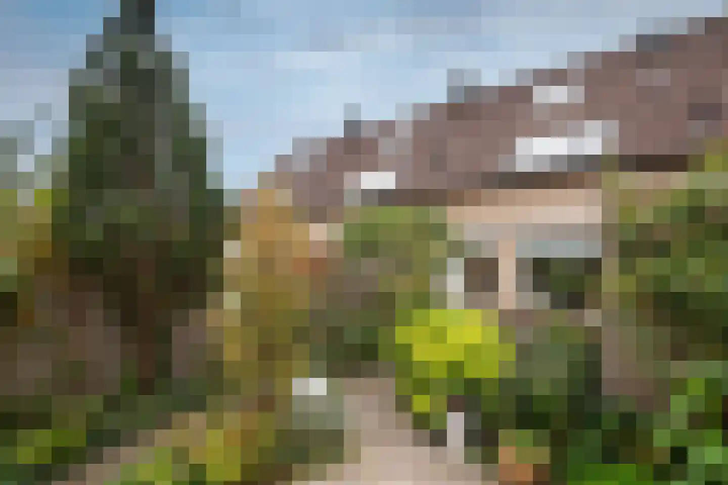 Van Bronkhorstvliet 32 Barendrecht thumbnail 10