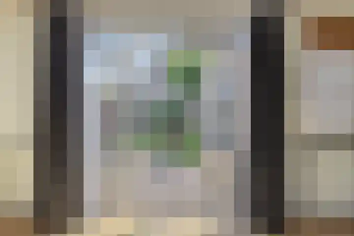 Van Bronkhorstvliet 5 Barendrecht thumbnail 12