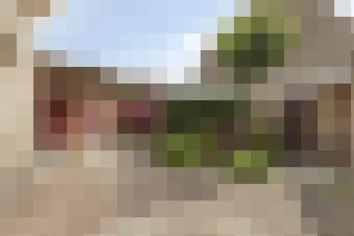 Van Bronkhorstvliet 5 Barendrecht thumbnail 31