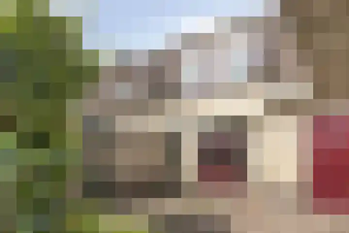 Van Bronkhorstvliet 5 Barendrecht thumbnail 34