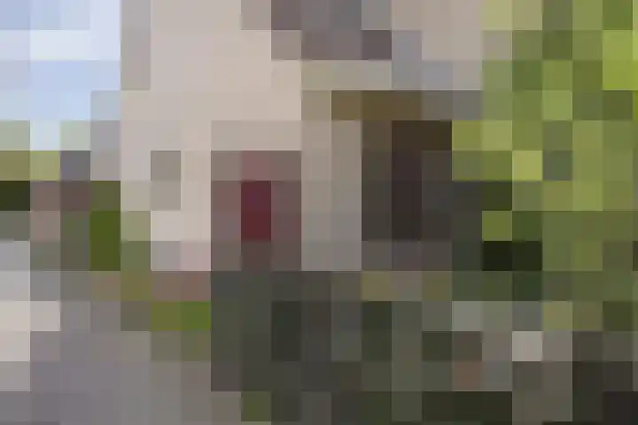 Van Bronkhorstvliet 5 Barendrecht thumbnail 36