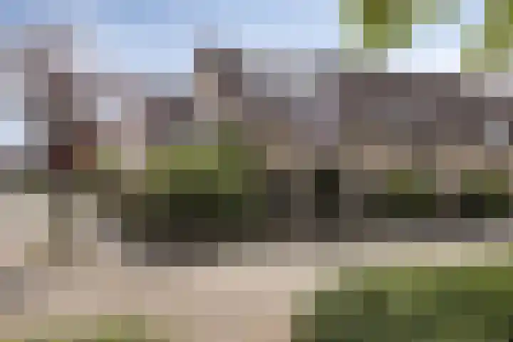 Van Bronkhorstvliet 5 Barendrecht thumbnail 5