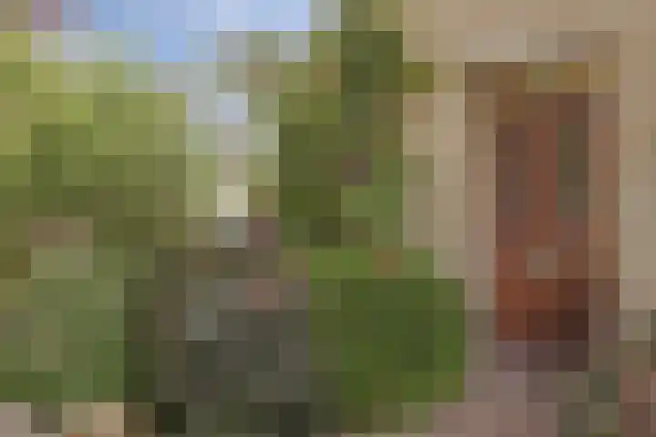 Van Bronkhorstvliet 5 Barendrecht thumbnail 6