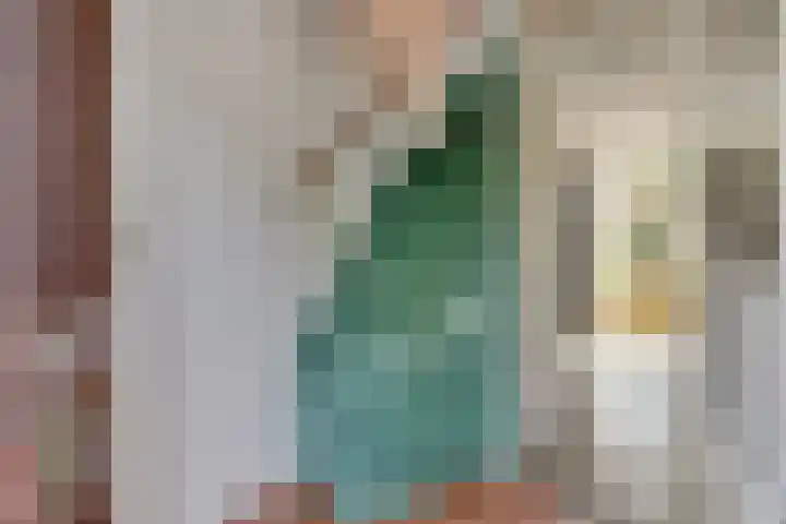 Van Bronkhorstvliet 5 Barendrecht thumbnail 8