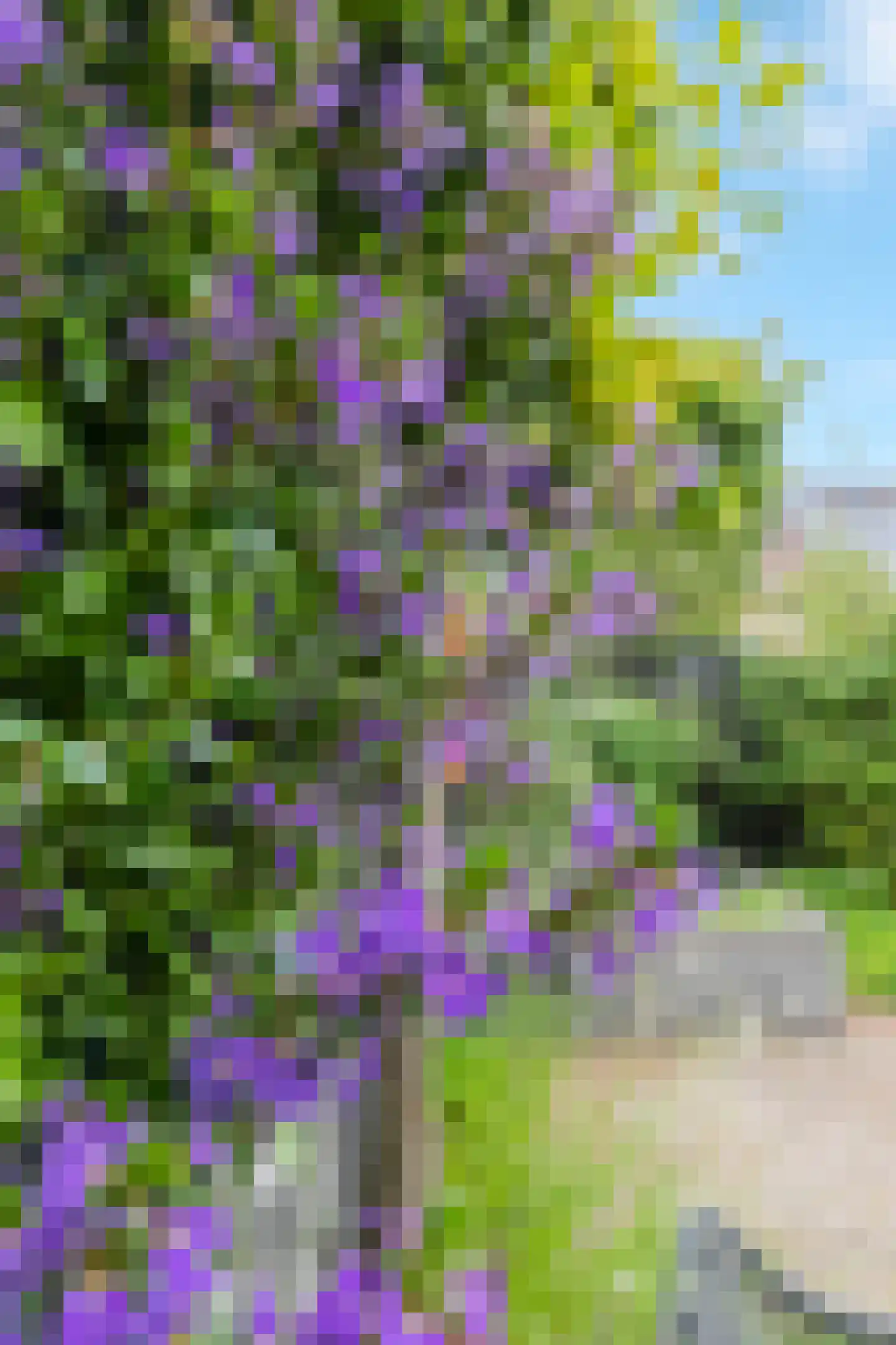 Van Bronkhorstvliet 9 Barendrecht thumbnail 46