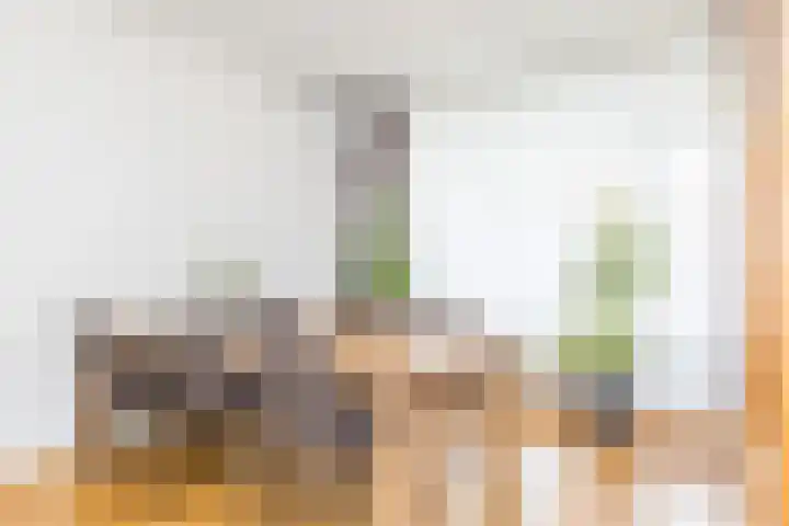 van Bronsfeltstraat 7 Schinveld thumbnail 11