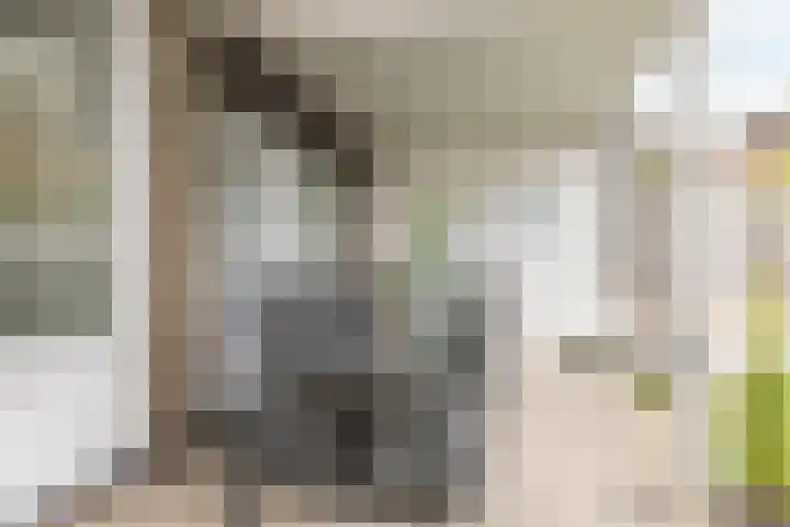 van Bronsfeltstraat 7 Schinveld thumbnail 32