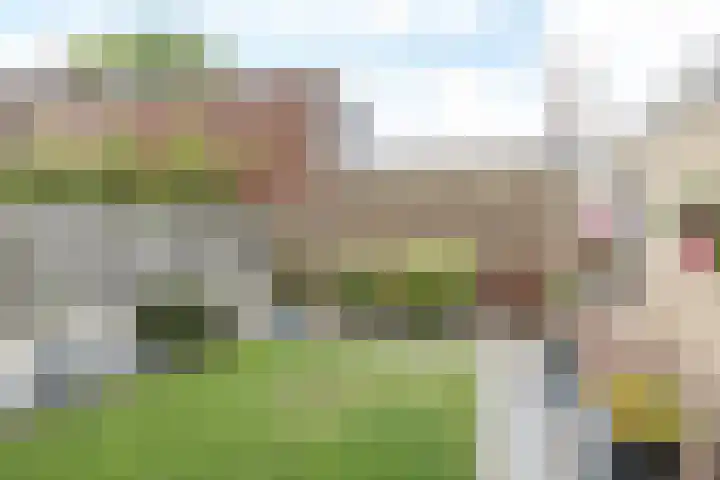 van Bronsfeltstraat 7 Schinveld thumbnail 34