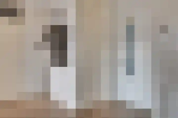 Van Brunschothof 58 Nuenen thumbnail 12