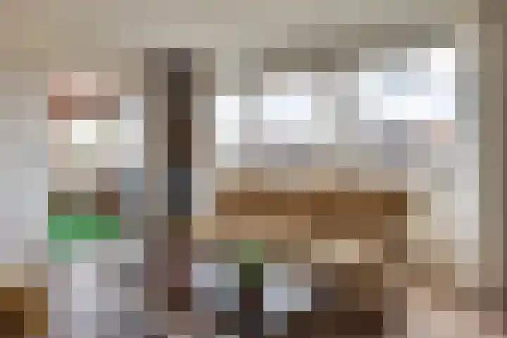Van Brunschothof 58 Nuenen thumbnail 15