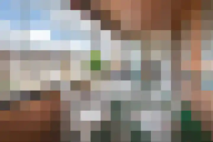 Van Brunschothof 58 Nuenen thumbnail 24