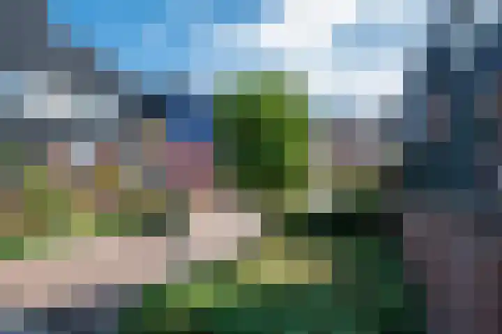 Van Brunschothof 58 Nuenen thumbnail 38