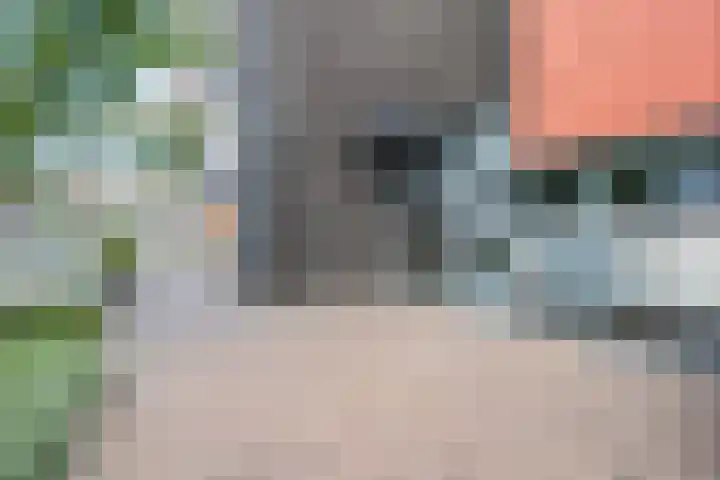 Van Brunschothof 58 Nuenen thumbnail 8