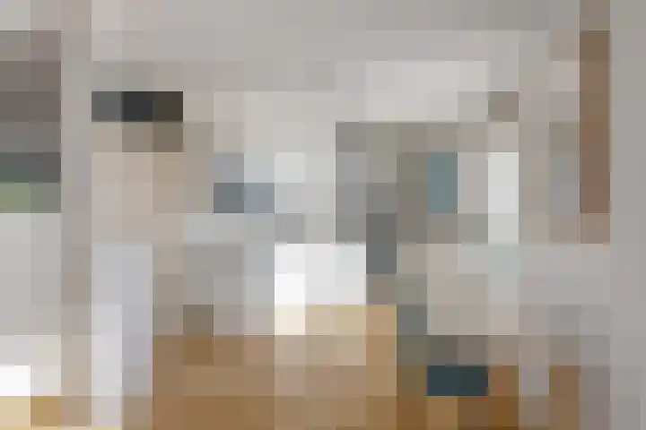 Van Brunschothof 64 Nuenen thumbnail 14
