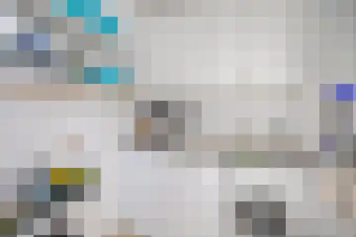 Van Brunschothof 64 Nuenen thumbnail 23