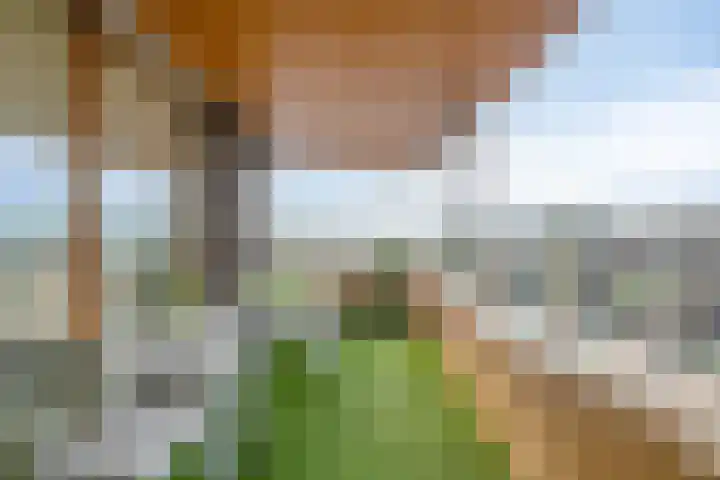Van Brunschothof 64 Nuenen thumbnail 24