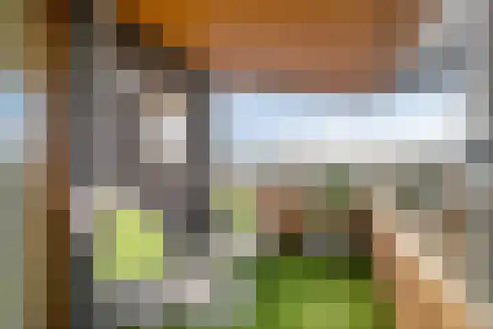 Van Brunschothof 64 Nuenen thumbnail 25