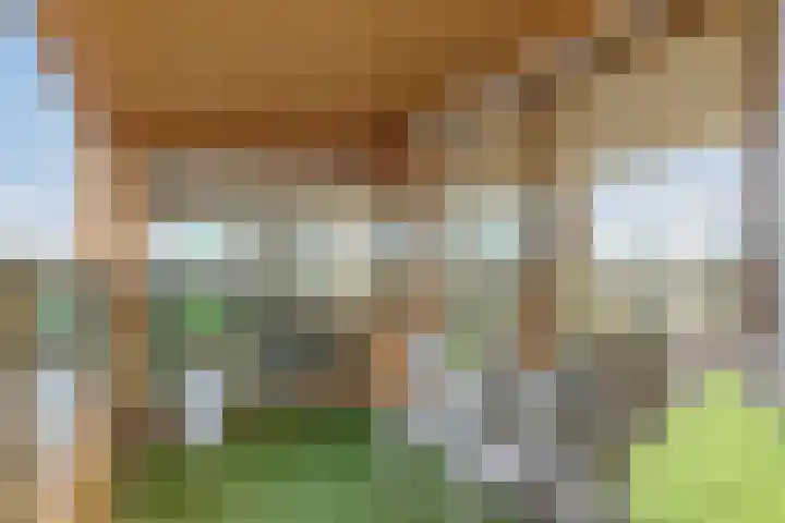 Van Brunschothof 64 Nuenen thumbnail 26
