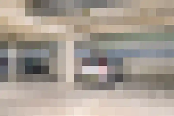 Van Brunschothof 64 Nuenen thumbnail 28