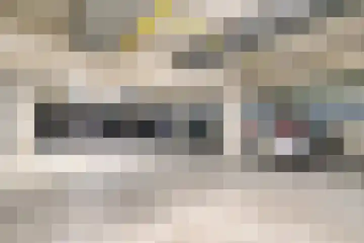 Van Brunschothof 64 Nuenen thumbnail 29