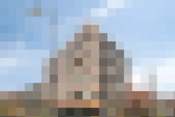 Van Brunschothof 64 Nuenen thumbnail 32