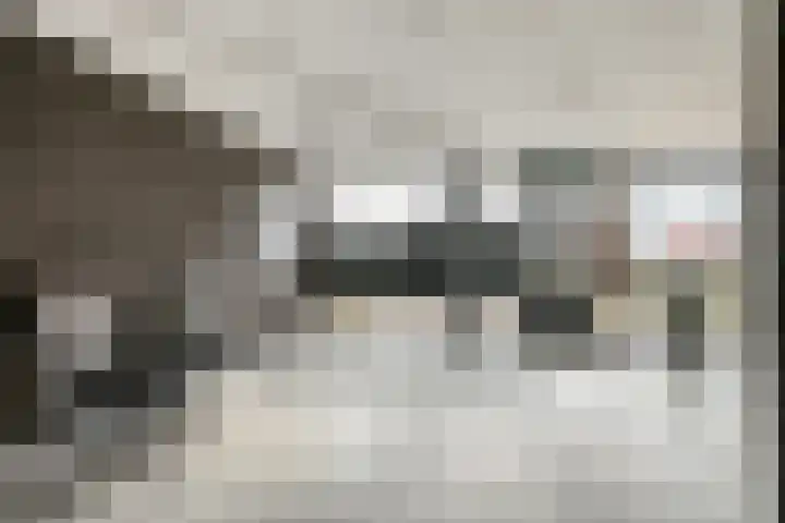 Van Brunschothof 64 Nuenen thumbnail 4
