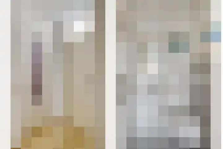 Van Brunschothof 64 Nuenen thumbnail 7