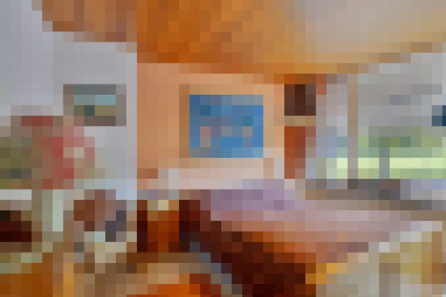 Van Buerenstraat 1 Oudheusden thumbnail 10