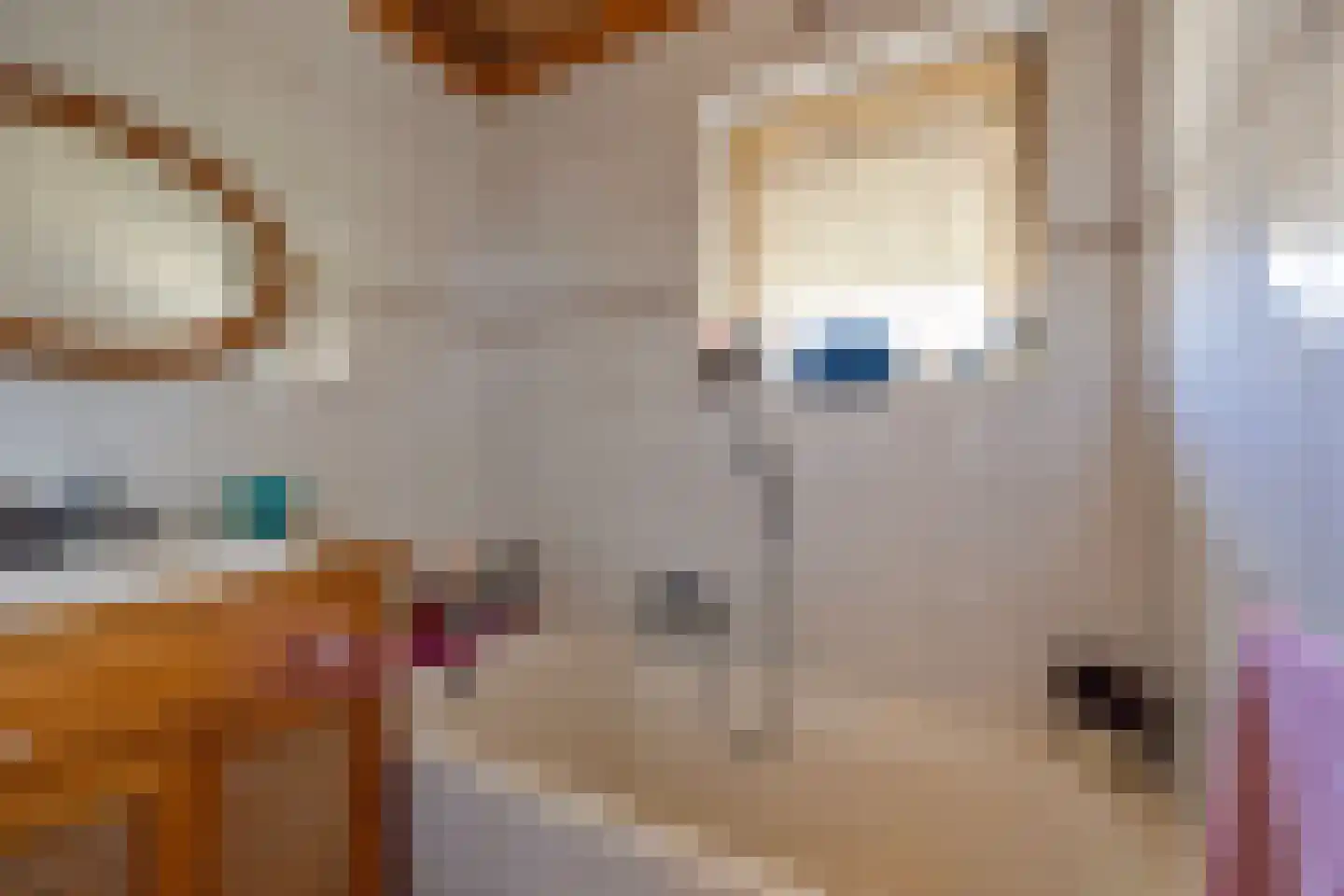 Van Buerenstraat 1 Oudheusden thumbnail 11