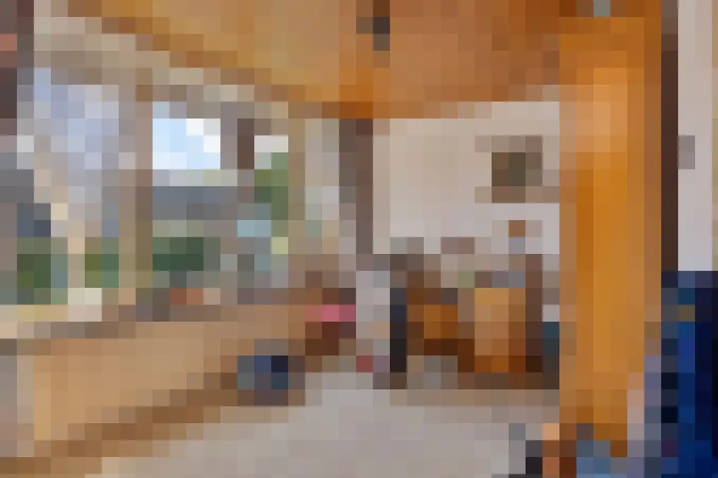 Van Buerenstraat 1 Oudheusden thumbnail 12