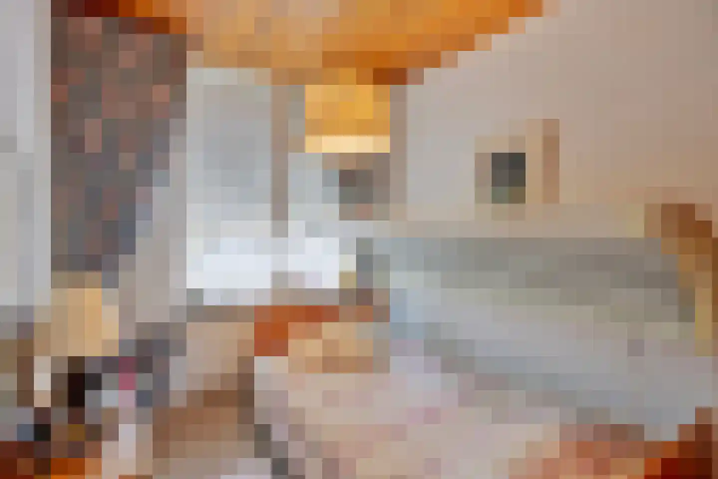 Van Buerenstraat 1 Oudheusden thumbnail 13
