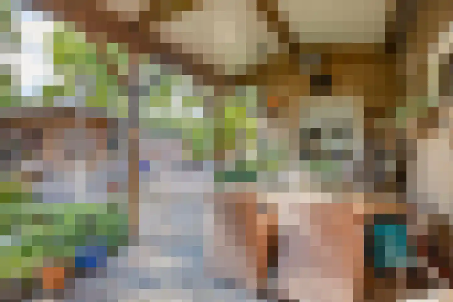 Van Buerenstraat 1 Oudheusden thumbnail 17
