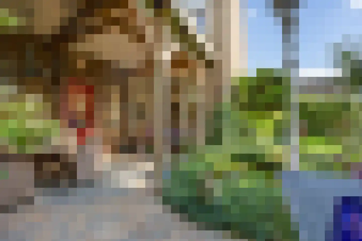 Van Buerenstraat 1 Oudheusden thumbnail 18