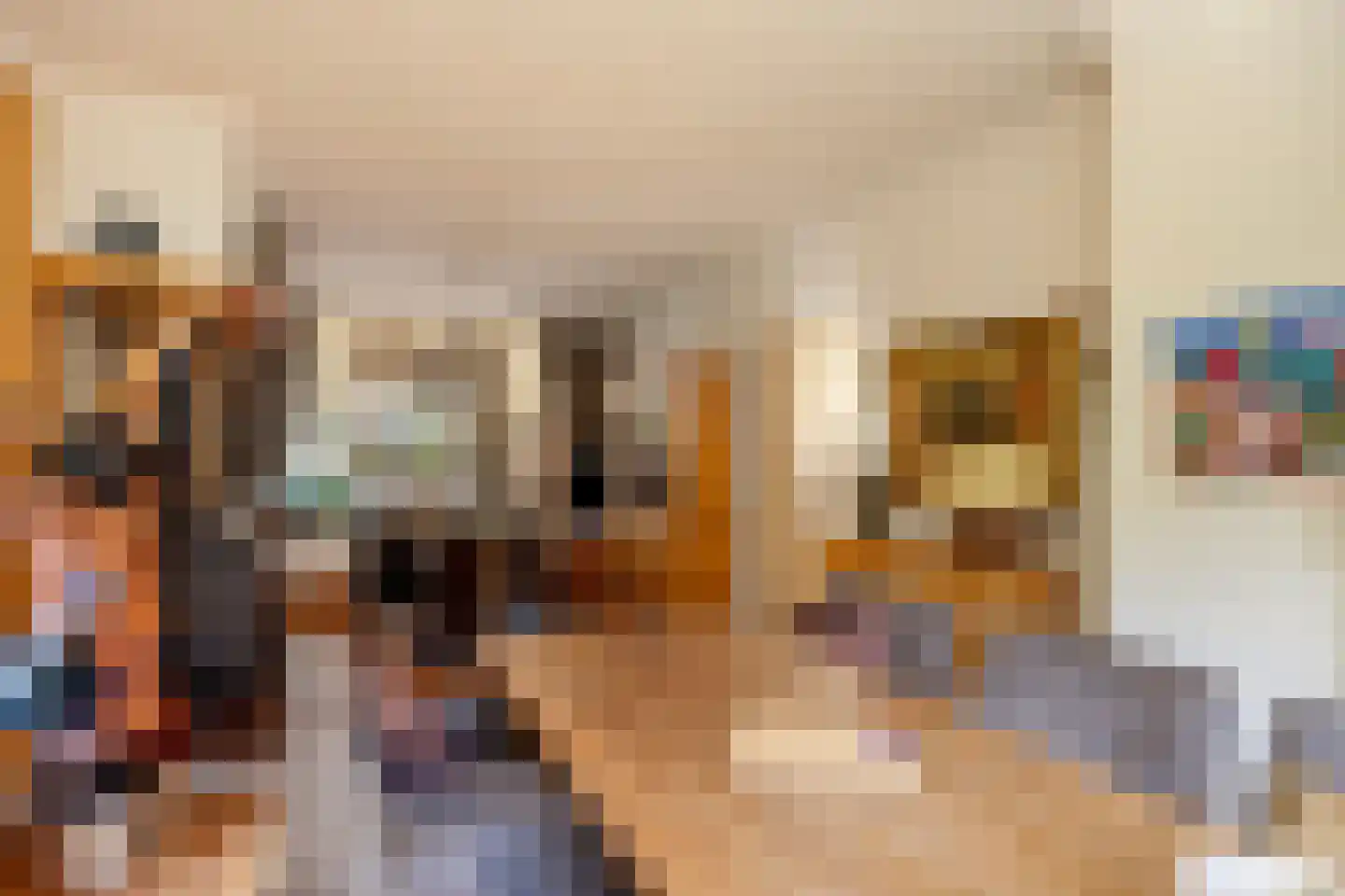 Van Buerenstraat 1 Oudheusden thumbnail 4