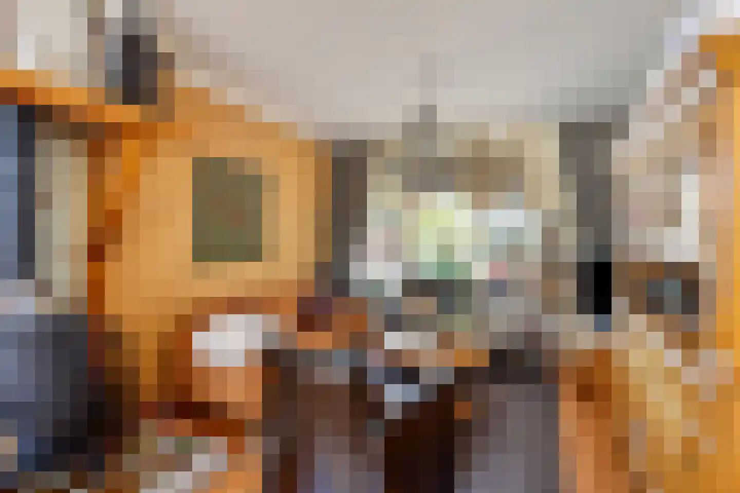 Van Buerenstraat 1 Oudheusden thumbnail 5