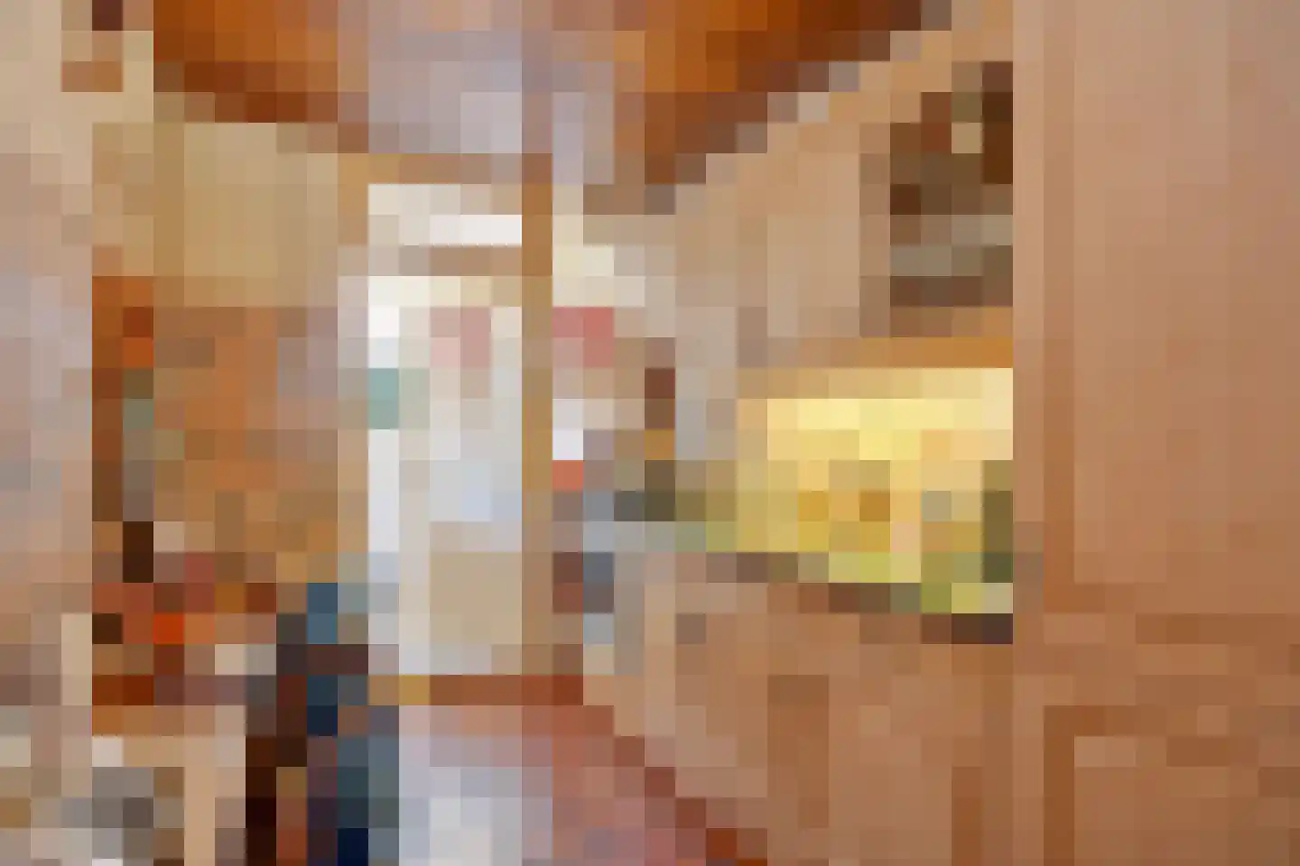 Van Buerenstraat 1 Oudheusden thumbnail 6