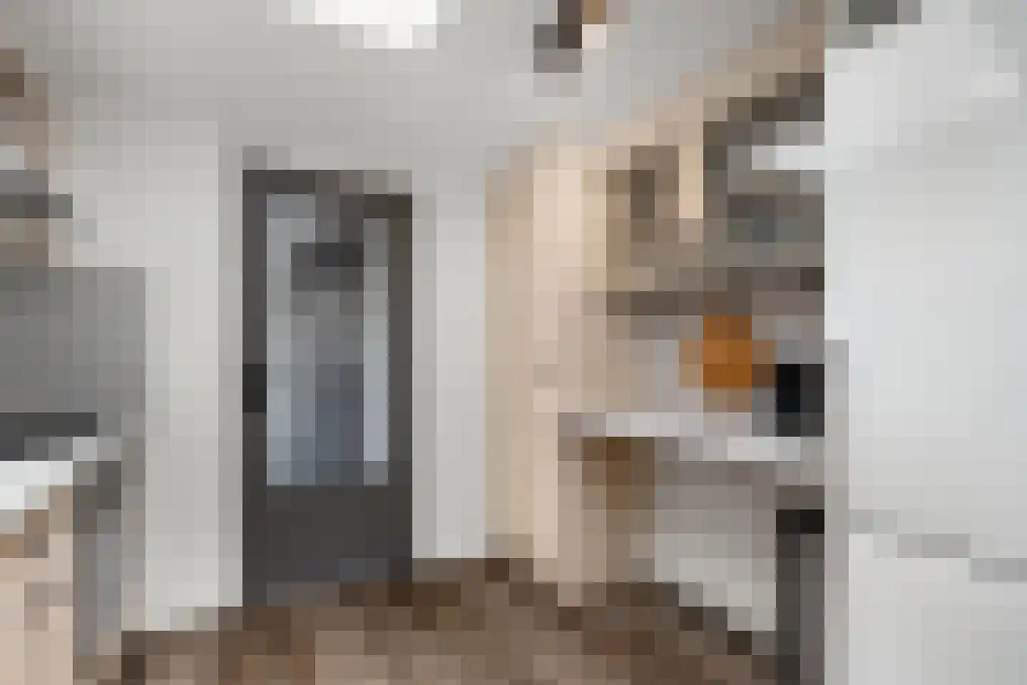 van Burmaniastraat 1 St.-Annaparochie thumbnail 21