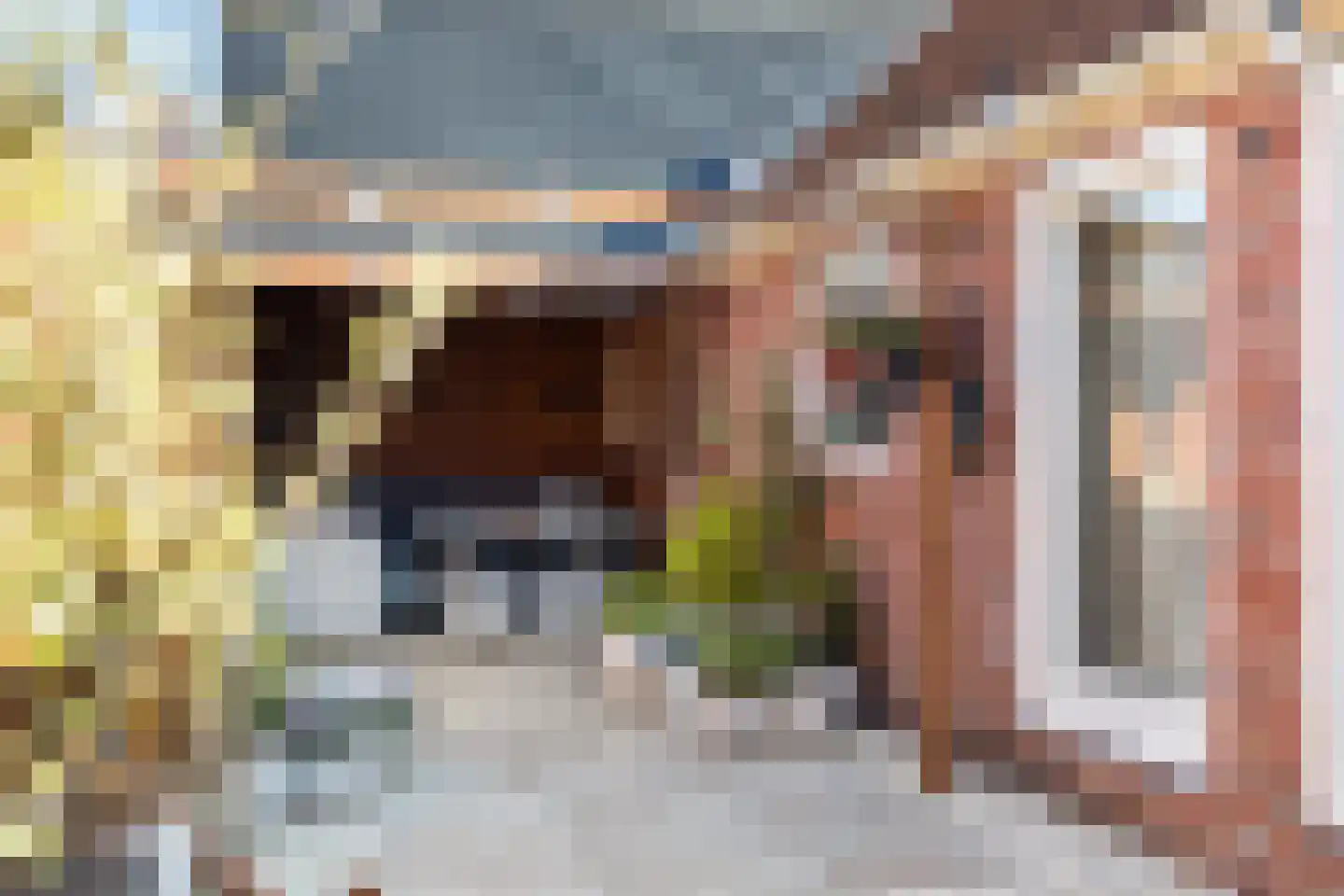 van Burmaniastraat 5 St.-Annaparochie thumbnail 27
