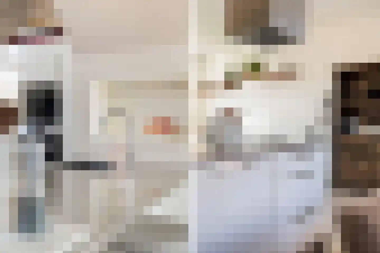 van Burmaniastraat 5 St.-Annaparochie thumbnail 8