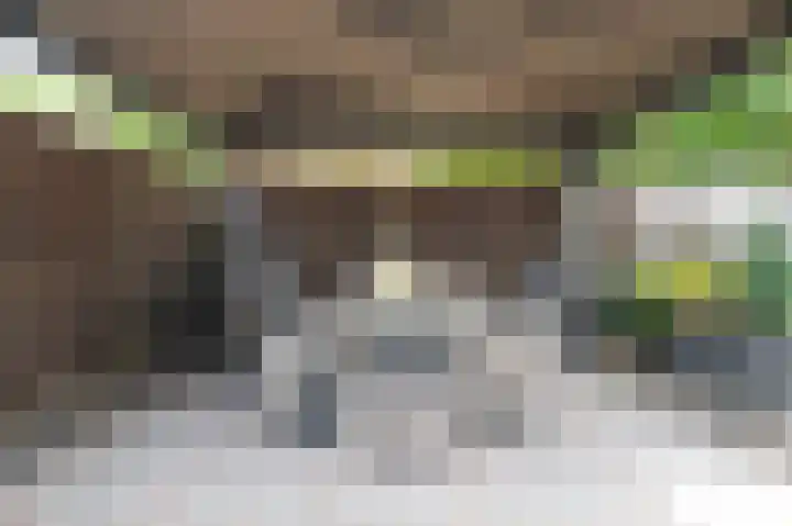 Van Buurenstraat 12 Meeuwen thumbnail 23
