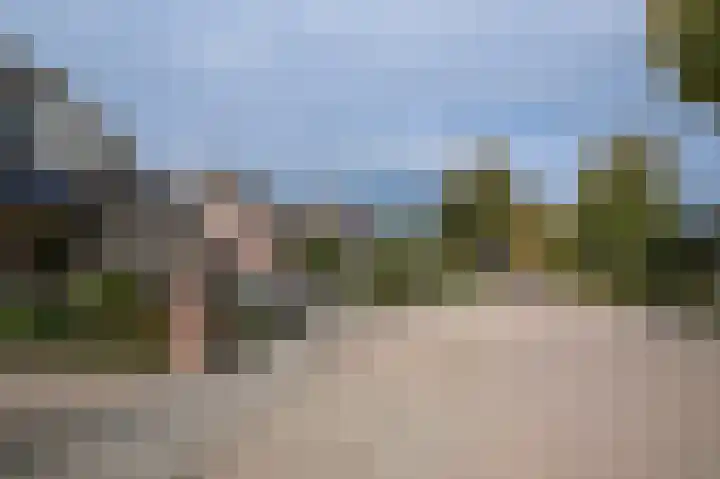 Van Buurenstraat 12 Meeuwen thumbnail 32