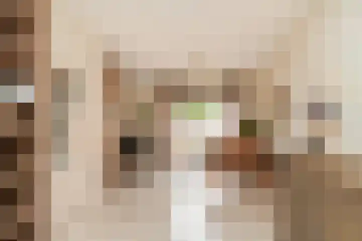 Van Buurenstraat 12 Meeuwen thumbnail 7